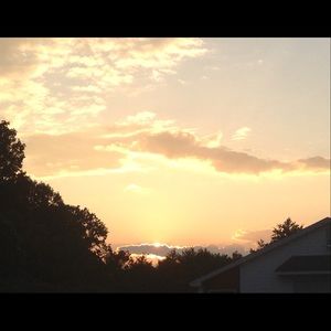 Meet your Posher, Lucy